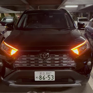 RAV4 MXAA54