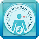 Pregnancy Due Date Calculator by KT Apps Store Download on Windows