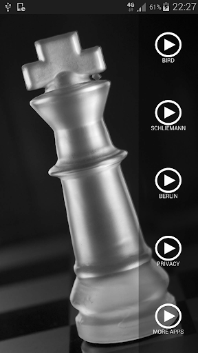 Ruy Lopez Opening II