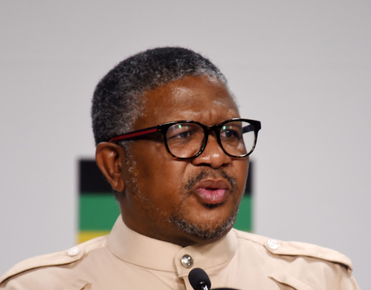 ANC secretary-general Fikile Mbalula has been at the helm of Luthuli House for just under two months. File image.