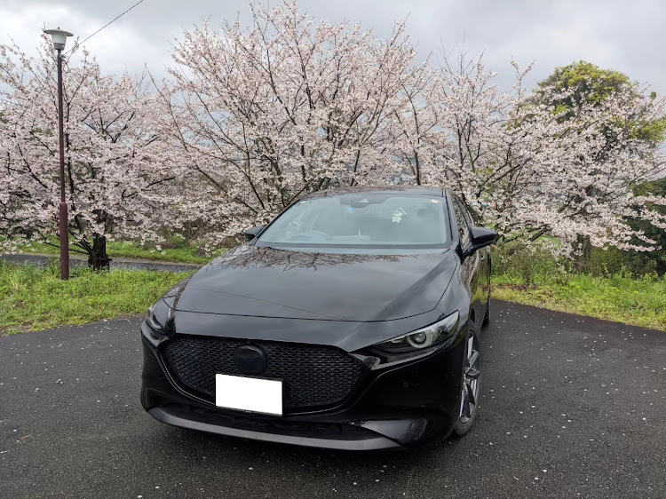 MAZDA3の福岡県・宗像市・河東桜公園・桜とコラボ・車好きな人と繋がりたいに関するカスタム事例の投稿画像4枚目