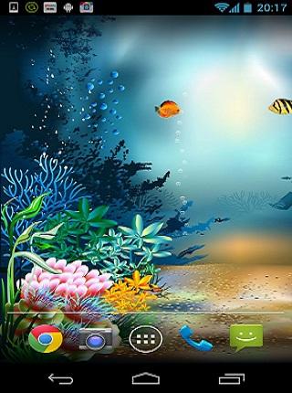 underwater aquarium wallpaper