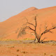 Deadvlei New Tab & Wallpapers Collection