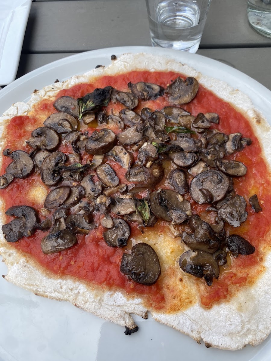 Fungi pizza. No cheese.