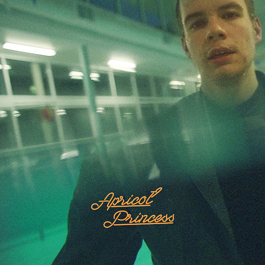 Rex Orange County - Wikipedia