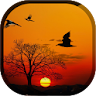 Sunset Live Wallpaper - Flying icon