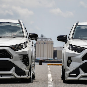 RAV4 AXAH54