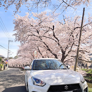 スイフトスポーツ ZC33S