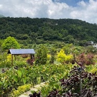 【竹子湖】苗榜花園餐廳