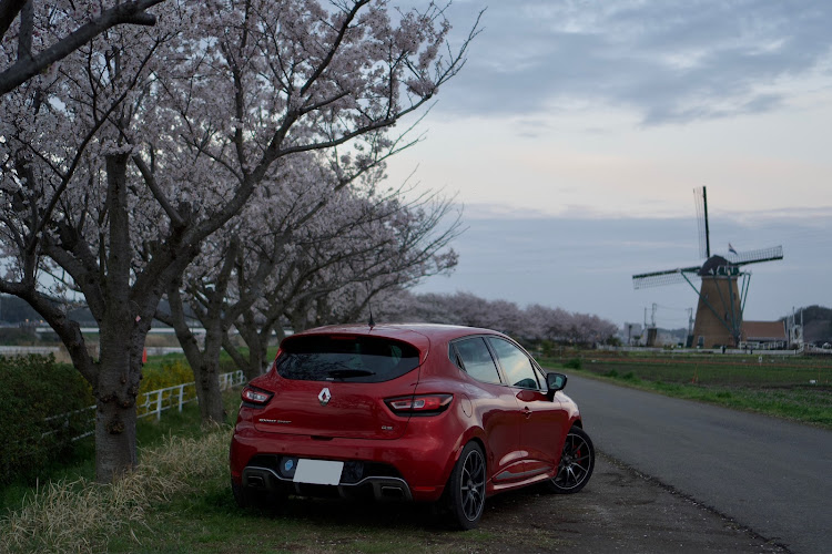 ルーテシアのサクラと愛車・桜とコラボ・ルノー祭り・ルーテシア好きな人と繋がりたい・桜に関するカスタム事例の投稿画像2枚目