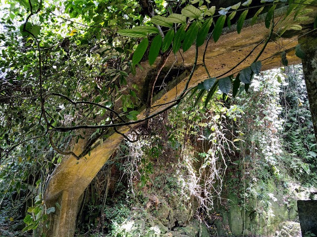 Lata Merkor or Geruntum Falls Gopeng