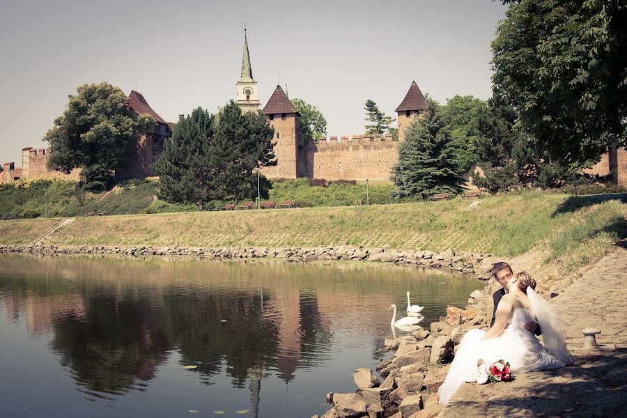 Wedding photographer Studio Beautyfoto (luboskos). Photo of 15 July 2015