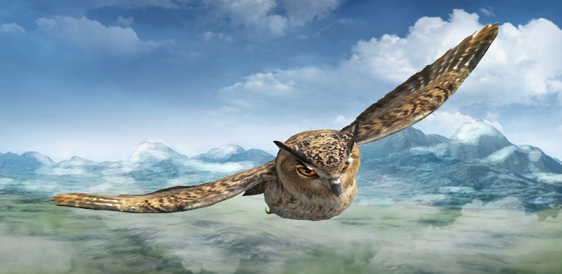 Wild Owl Simulator 3D