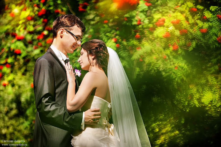 結婚式の写真家Svetozar Andreev (svetozar)。2013 8月26日の写真