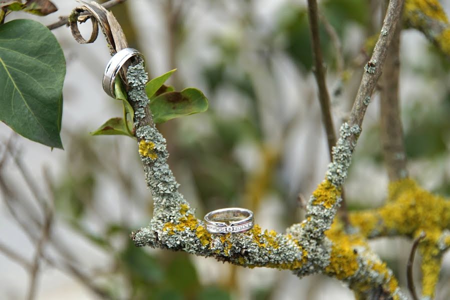 Fotografo di matrimoni Nicole Markucic (markucic). Foto del 9 marzo 2019