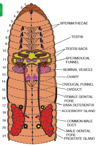 Solution Image