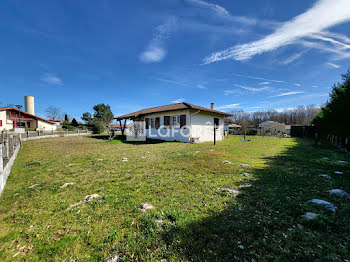 maison à Saint-Paul-en-Born (40)