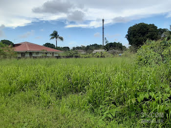 terrain à Macouria Tonate (973)