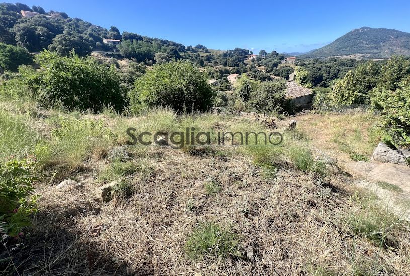  Vente Terrain à bâtir - 305m² à Fozzano (20143) 