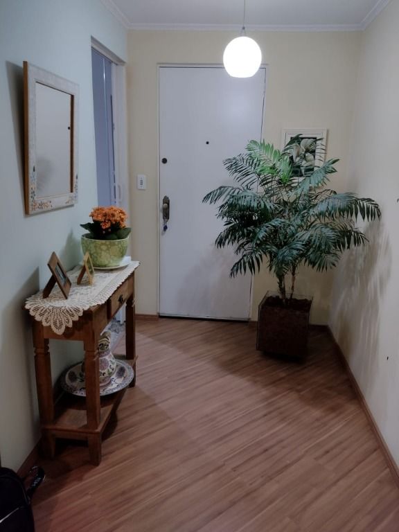 Apartamentos para alugar Ferrazópolis