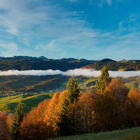 Autunno dall'alto di 