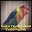 Kicau Lovebird Kontes Ngekek Terbaru Download on Windows
