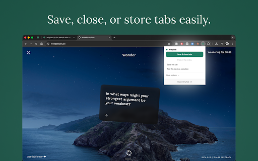 WhyTab screenshot 2