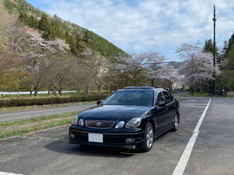 アリストのアリスト・ISF・桜とコラボ🌸・春の交通安全週間に関するカスタム事例の投稿画像2枚目