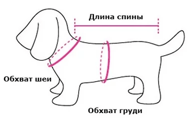 Зачем потрібно в'язати пса?