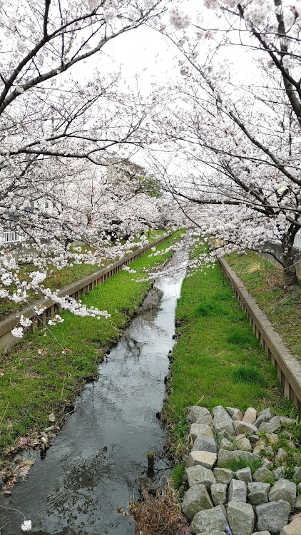 の投稿画像7枚目