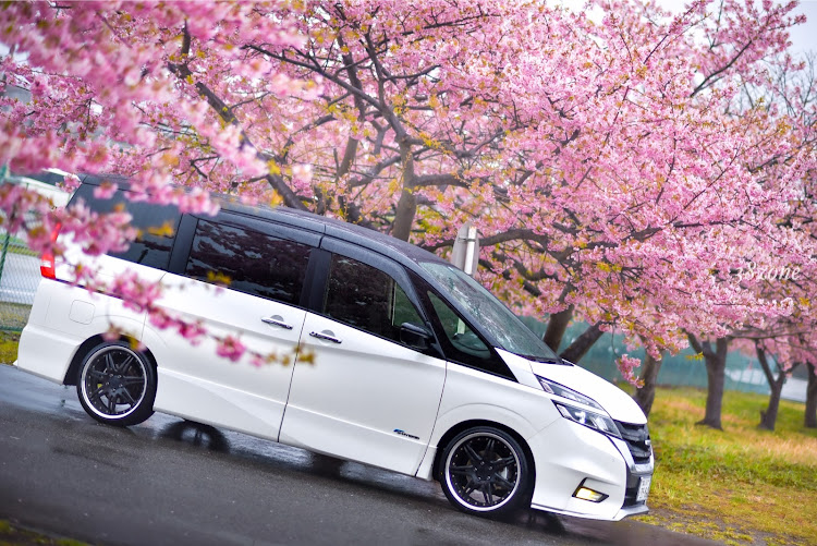 セレナの河津桜・単焦点レンズ一本勝負！に関するカスタム事例の投稿画像2枚目