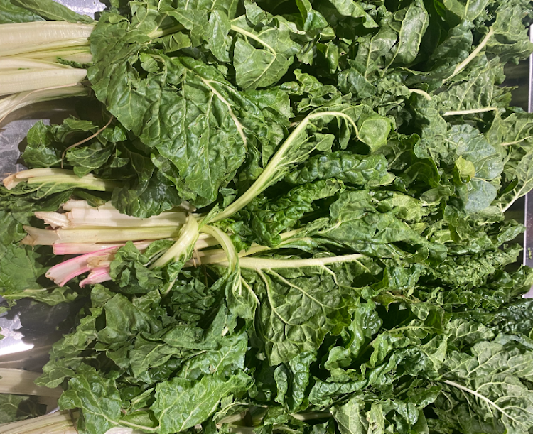 A bunch of fresh leafy kale