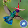 Hummingbird Wallpaper icon