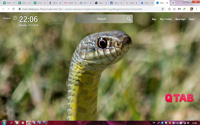 Snake Wallpapers Theme Snake New Tab