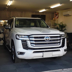LC URZ100