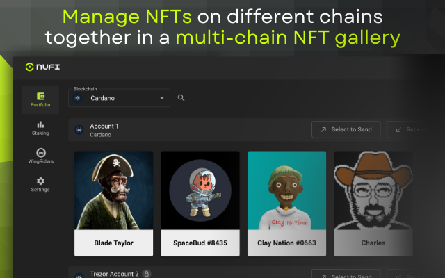 NuFi Preview image 12