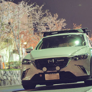 CX-3 DK5FW