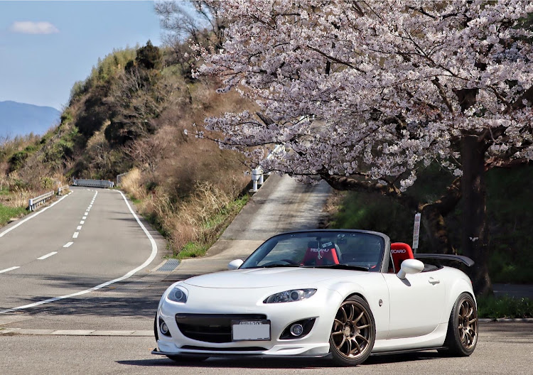 ロードスターの桜と愛車・何故か満開・明日、何で雨なん？に関するカスタム事例の投稿画像1枚目