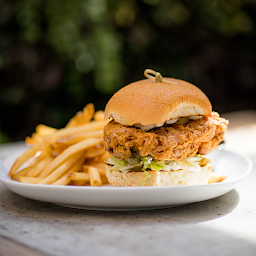 Chicken Sando + Fries