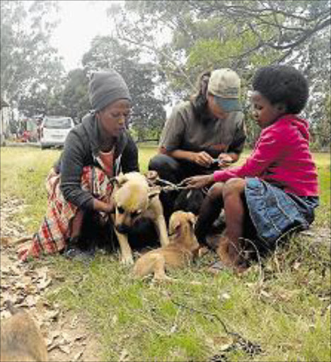 SAVING LIVES: Wesley housewife Eleanor Malman and her daughter Onyika help volunteer vet Taz Rabie treat family dog Cuba during the outreach