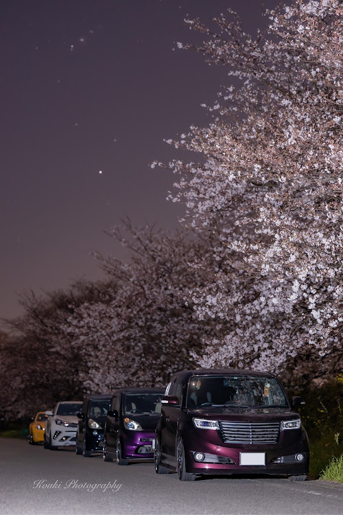 bBのピックアップってナニ？・夜桜・桜と愛車・オフ会・撮影会に関するカスタム事例の投稿画像1枚目