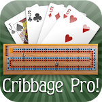 Cover Image of Télécharger Cribbage Pro 2.6.9 APK