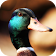 Duck Sounds icon