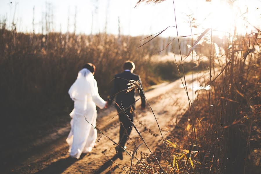 Wedding photographer Dmitriy Zenin (dmitriyzenin). Photo of 1 November 2015