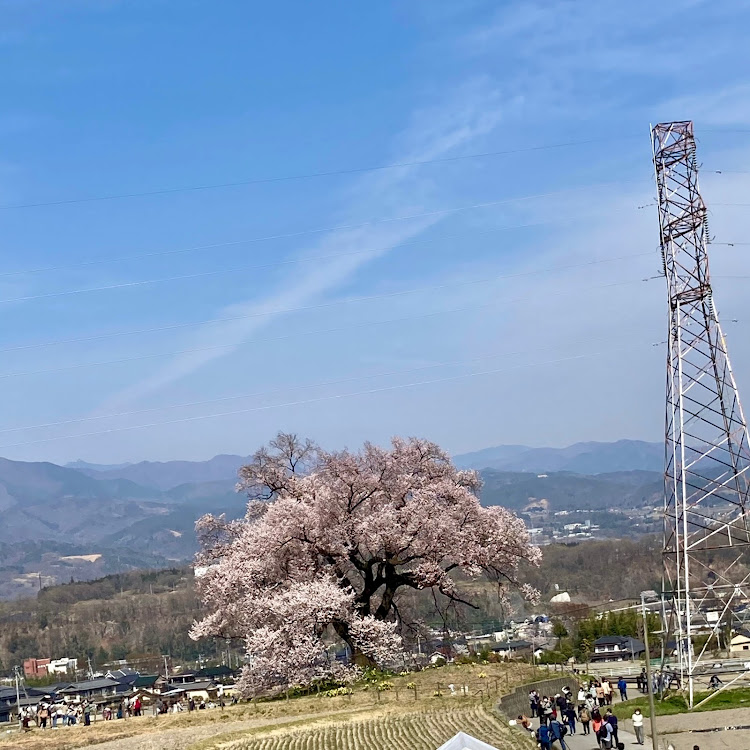 の投稿画像3枚目