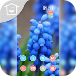 Cover Image of Herunterladen 蓝色可爱花朵主题 2.0 APK