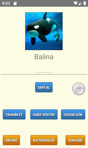 İngilizce Kelime Oyunu