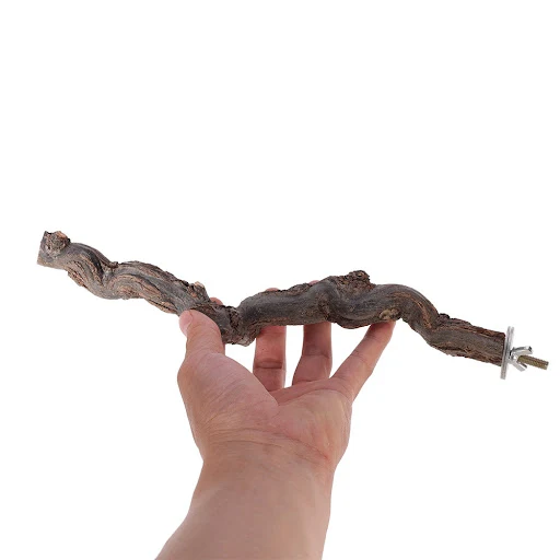 Pet Parrot Bird Standing Stick Grape Wood Pole Bird Cockatiel Parakeet Perches Bite Claw Grinding Toy Bird Cage Accessor