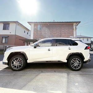 RAV4 AXAP54