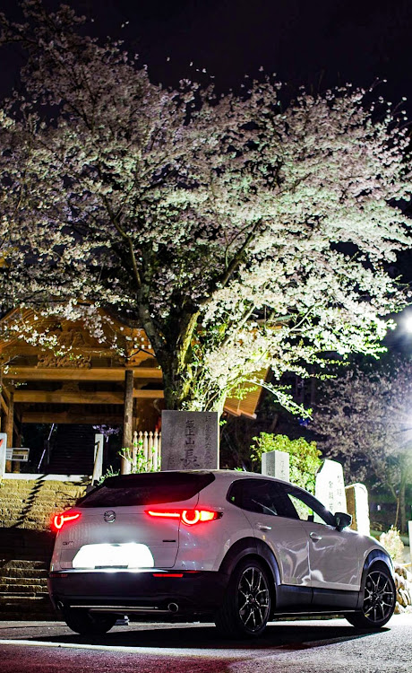 CX-30の夜桜・桜とコラボ🌸・桜・桜とコラボ・サクラと愛車に関するカスタム事例の投稿画像8枚目